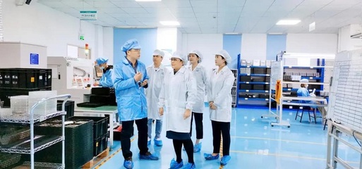 攜手共進，共創未來——深圳擔保集團蒞臨云里物里考察指導軟件開發工作