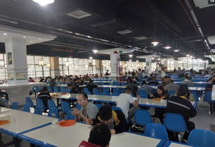 深圳職場(chǎng)陷阱實(shí)錄 黑中介、黑工廠、黑工與黑房東